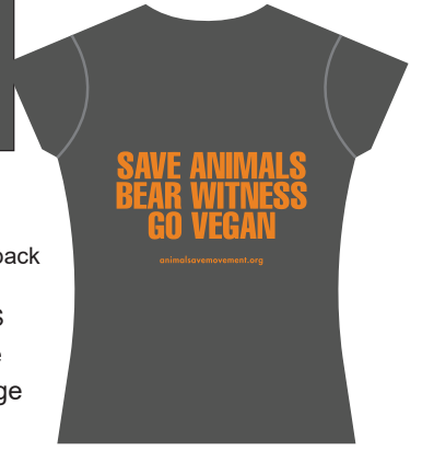 Toronto Chicken Save Women's fitted T-shirt