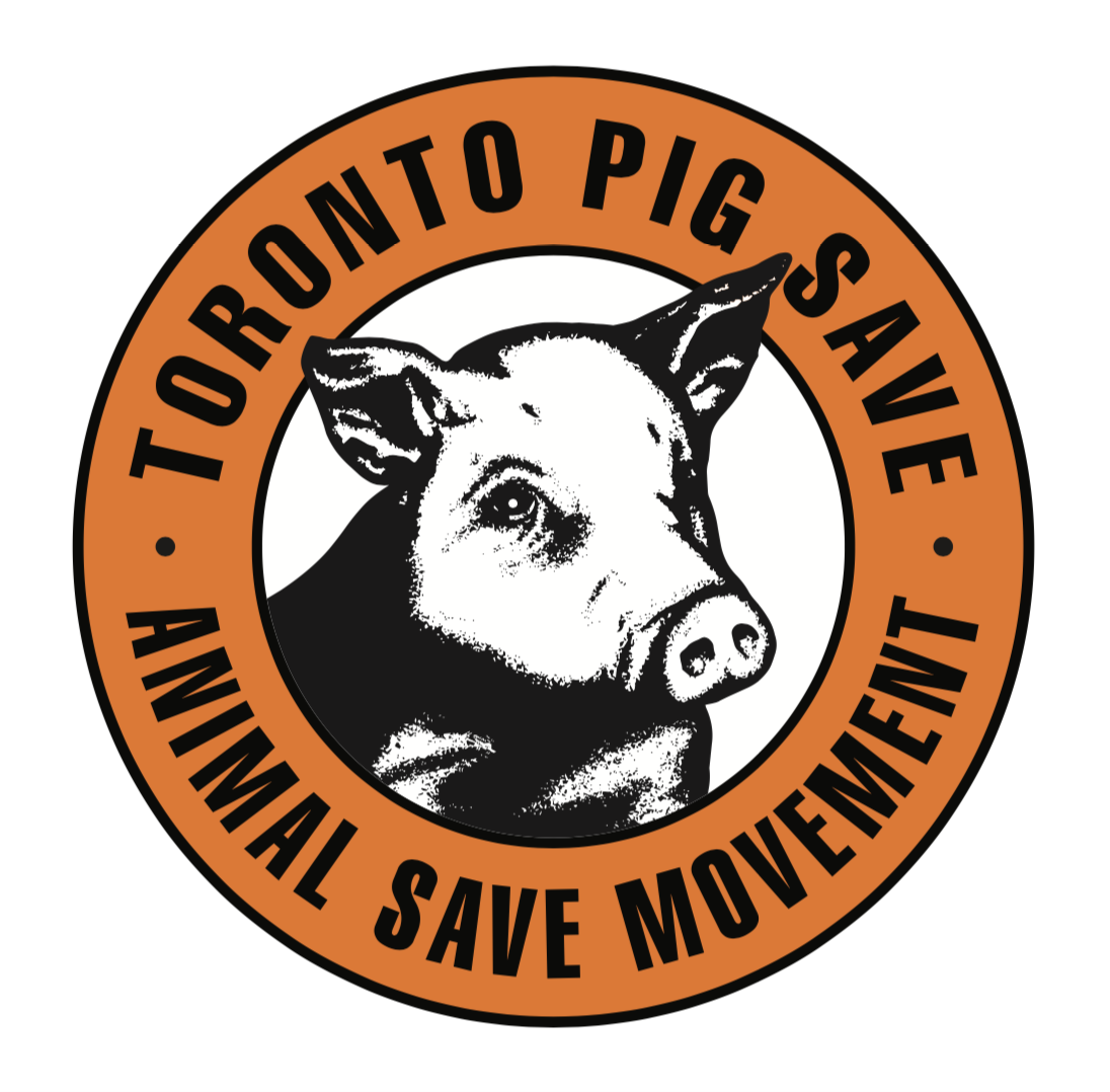 Toronto Pig Save